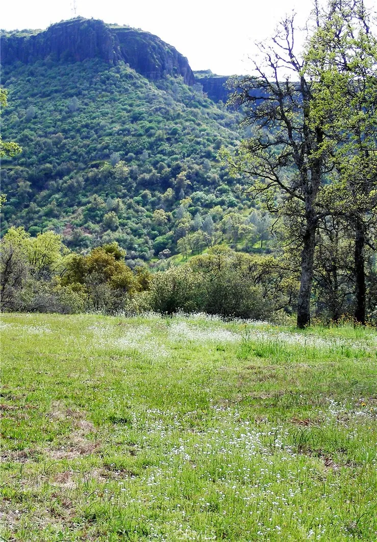 1985 Flatiron Chico, CA 95928