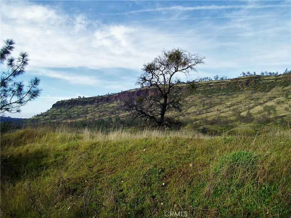 1985 Flatiron Chico, CA 95928