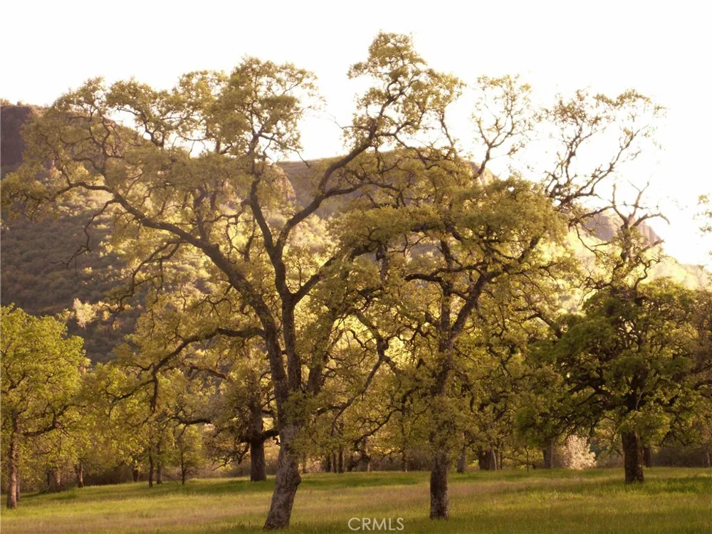 1985 Flatiron Chico, CA 95928