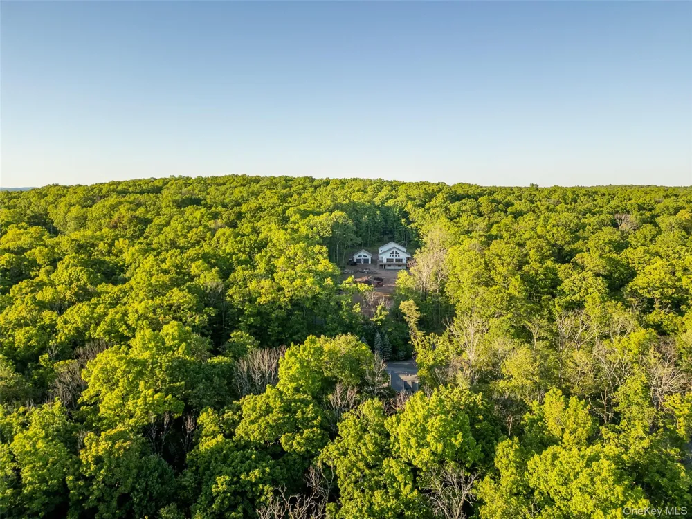91 Lenni Lenape Road Narrowsburg, NY 12726