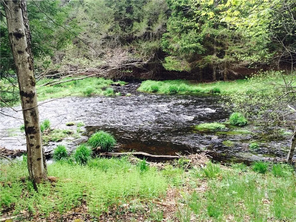 TBD Chapin Trail White Lake, NY 12786