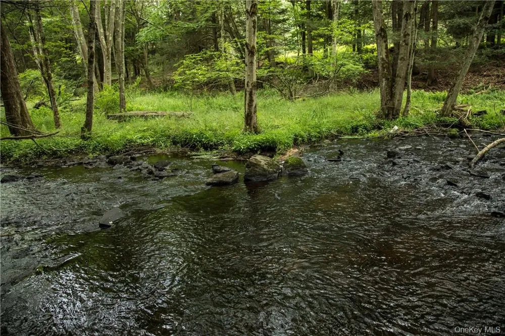 TBD Chapin Trail White Lake, NY 12786