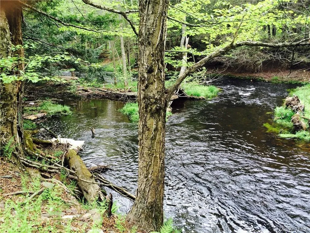 TBD Chapin Trail White Lake, NY 12786