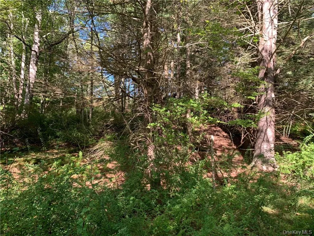 TBD Chapin Trail White Lake, NY 12786