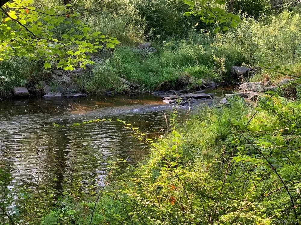 TBD Chapin Trail White Lake, NY 12786