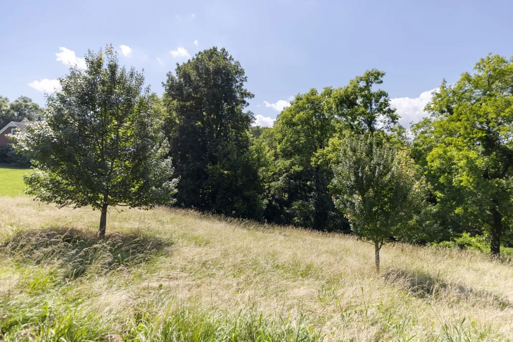 1202 Valarie Ln Columbia, TN 38401