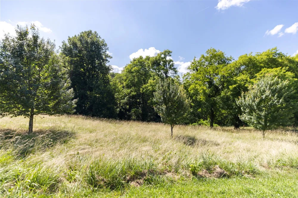 1202 Valarie Ln Columbia, TN 38401