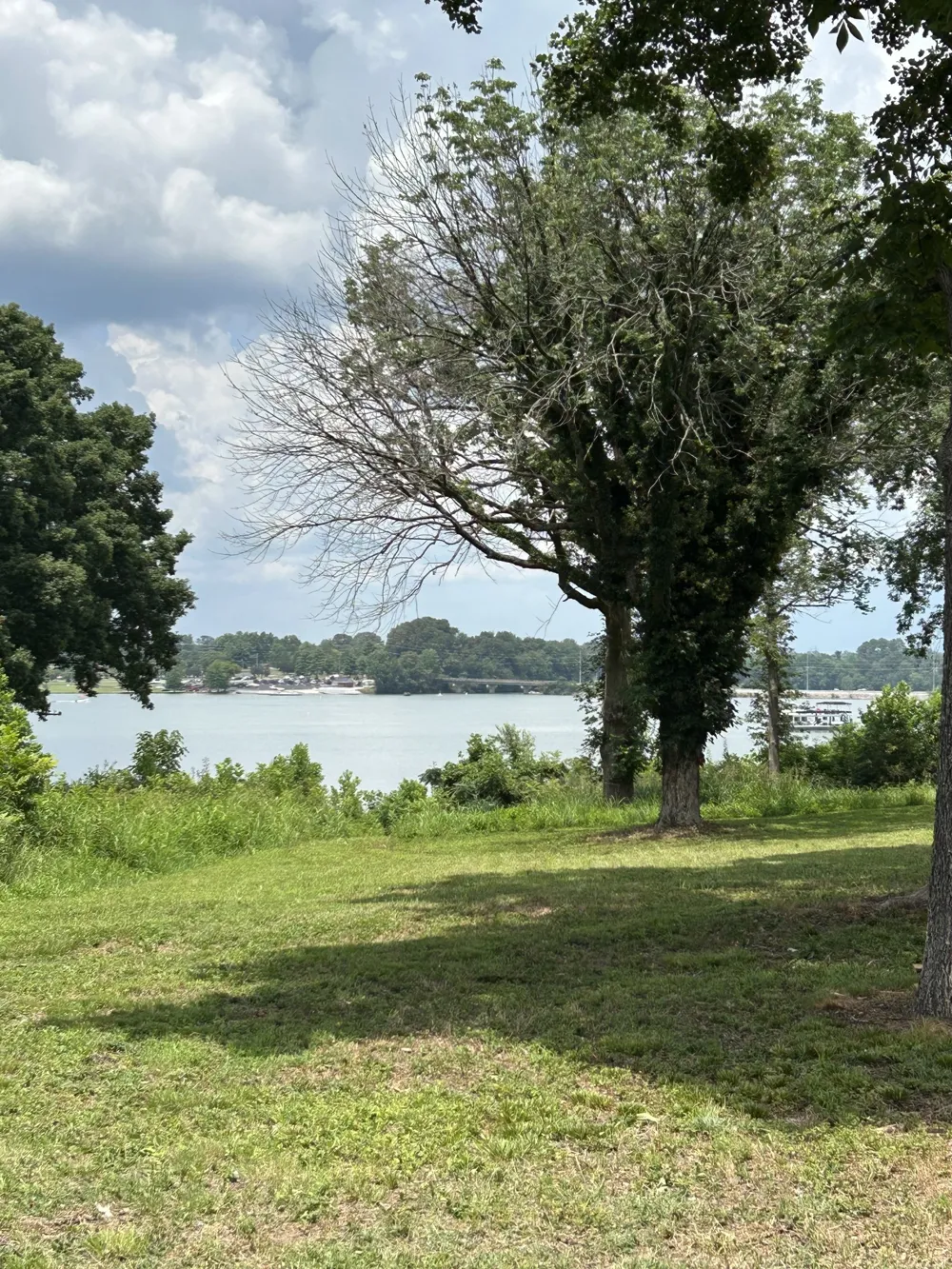 221 Hammock Dr Winchester, TN 37398