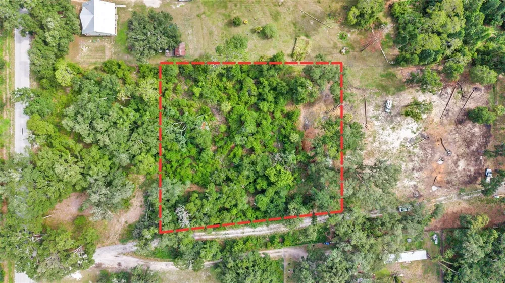 SYDNEY WASHER ROAD Dover, FL 33527