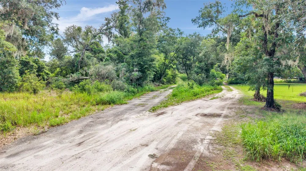 SYDNEY WASHER ROAD Dover, FL 33527
