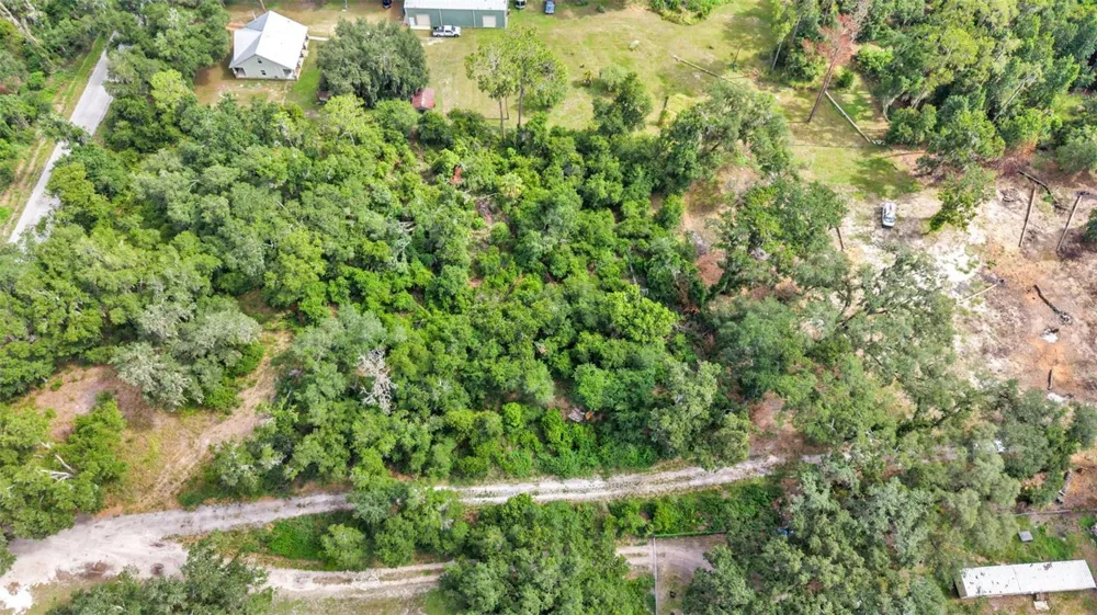 SYDNEY WASHER ROAD Dover, FL 33527