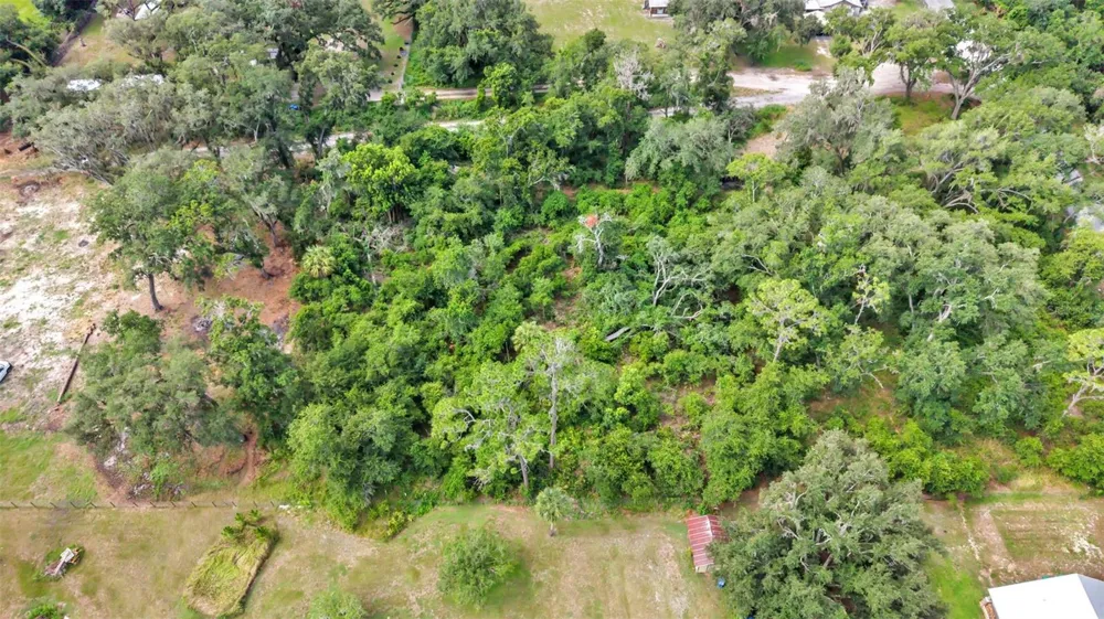 SYDNEY WASHER ROAD Dover, FL 33527
