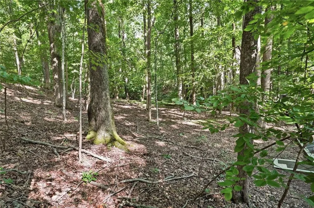 49 Little Beaver Run Big Canoe, GA 30143