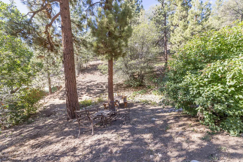 1126 Crags Lane Fawnskin, CA 92333