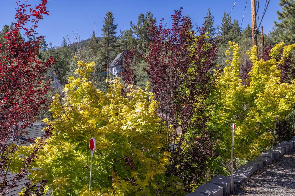 1126 Crags Lane Fawnskin, CA 92333
