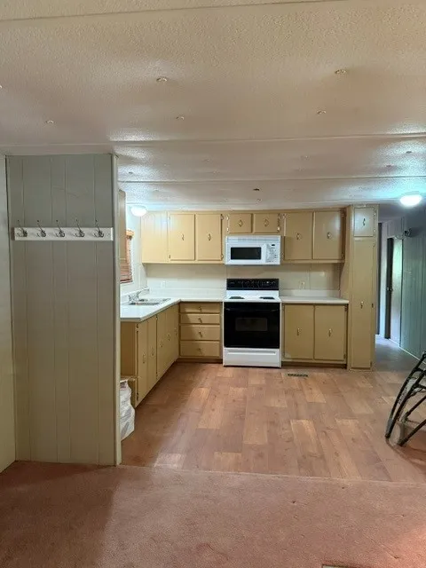 354 Placid Cove Drive New Braunfels, TX 78130