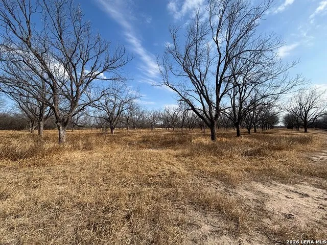 330 Stockley Rd Quemado, TX 78877