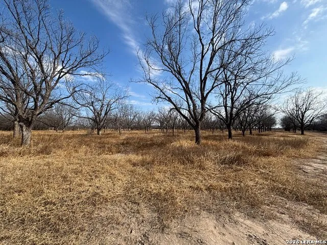 330 Stockley Rd Quemado, TX 78877