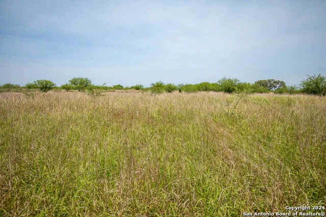 0 Green DeWitt Rd Cuero, TX 77954
