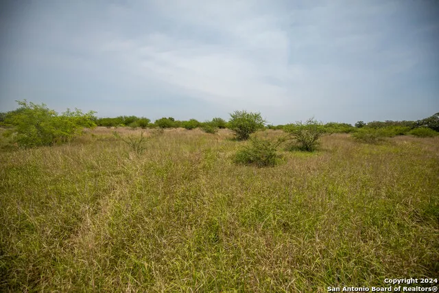 0 Green DeWitt Rd Cuero, TX 77954