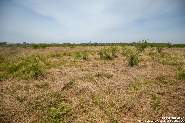 0 Green DeWitt Rd Cuero, TX 77954