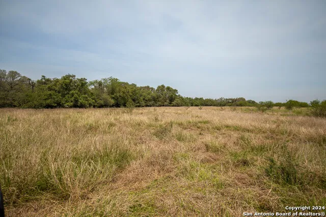 0 Green DeWitt Rd Cuero, TX 77954