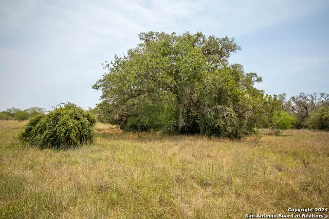 0 Green DeWitt Rd Cuero, TX 77954