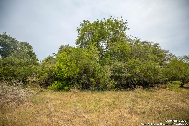 0 Green DeWitt Rd Cuero, TX 77954