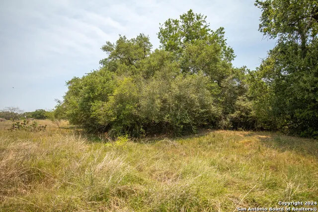 0 Green DeWitt Rd Cuero, TX 77954