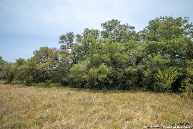 0 Green DeWitt Rd Cuero, TX 77954