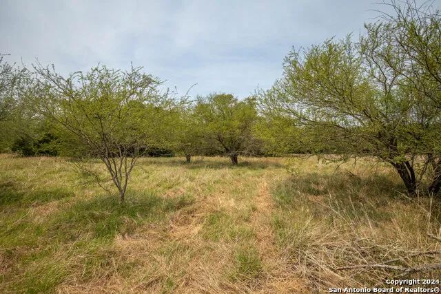 0 Green DeWitt Rd Cuero, TX 77954