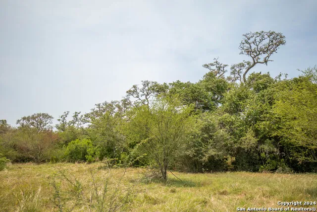 0 Green DeWitt Rd Cuero, TX 77954