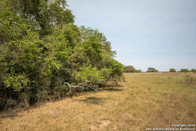 0 Green DeWitt Rd Cuero, TX 77954