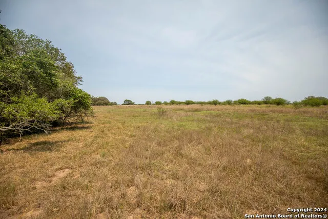 0 Green DeWitt Rd Cuero, TX 77954