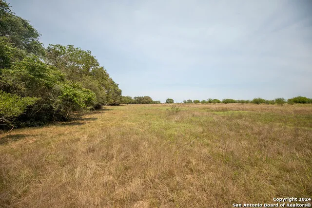 0 Green DeWitt Rd Cuero, TX 77954