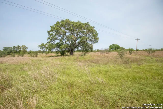 0 Green DeWitt Rd Cuero, TX 77954