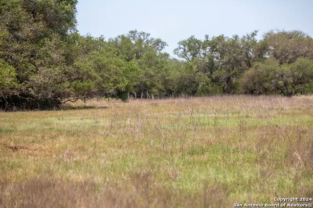 0 Green DeWitt Rd Cuero, TX 77954