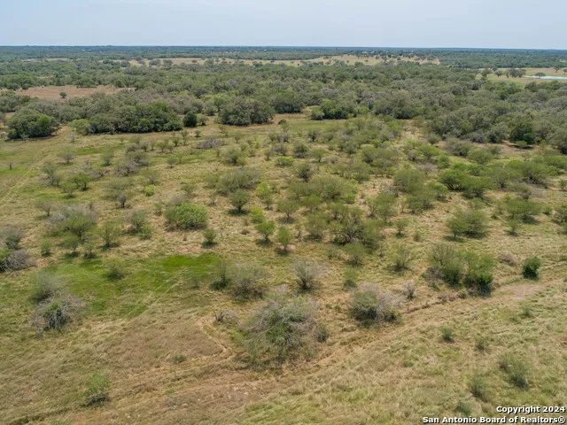 0 Green DeWitt Rd Cuero, TX 77954