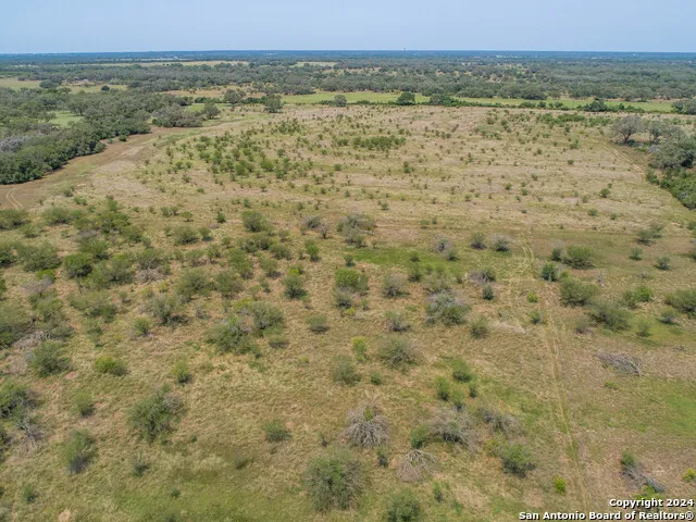 0 Green DeWitt Rd Cuero, TX 77954