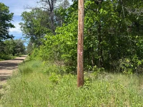 Princeton Drive
