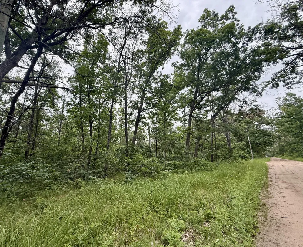 Princeton Drive Baldwin, MI 49304