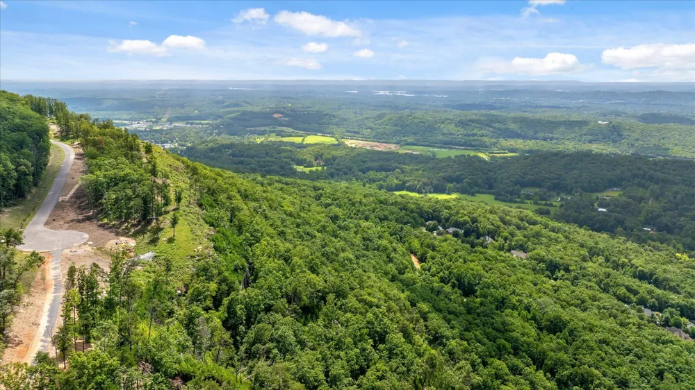 1134 Ransom Point Road Signal Mountain, TN 37377