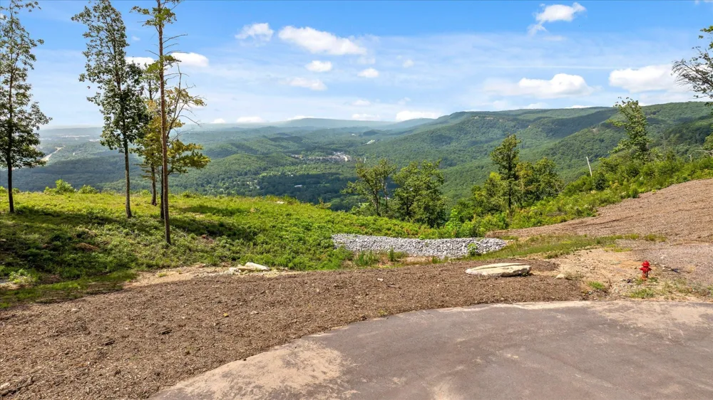 1134 Ransom Point Road Signal Mountain, TN 37377
