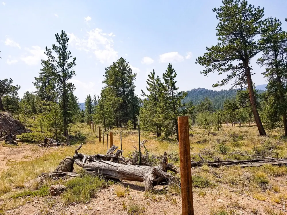 107 Miami Court Red Feather Lakes, CO 80545