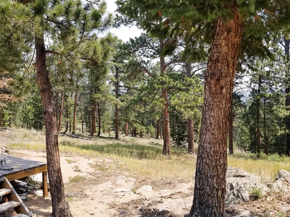 107 Miami Court Red Feather Lakes, CO 80545
