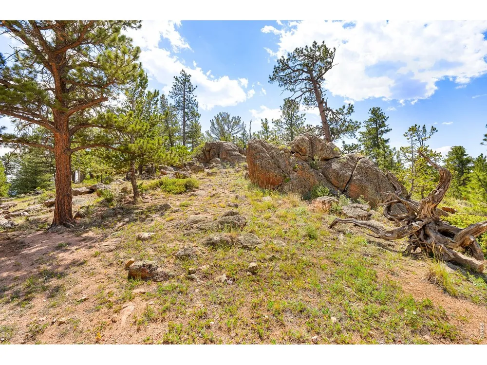 107 Miami Court Red Feather Lakes, CO 80545
