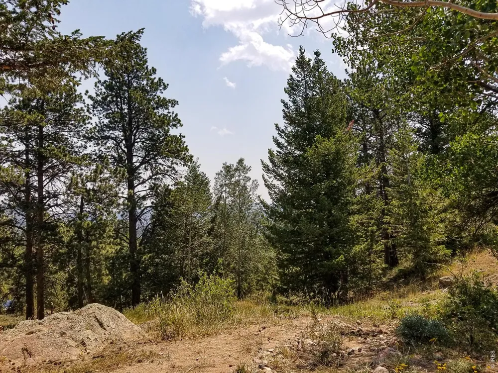 107 Miami Court Red Feather Lakes, CO 80545