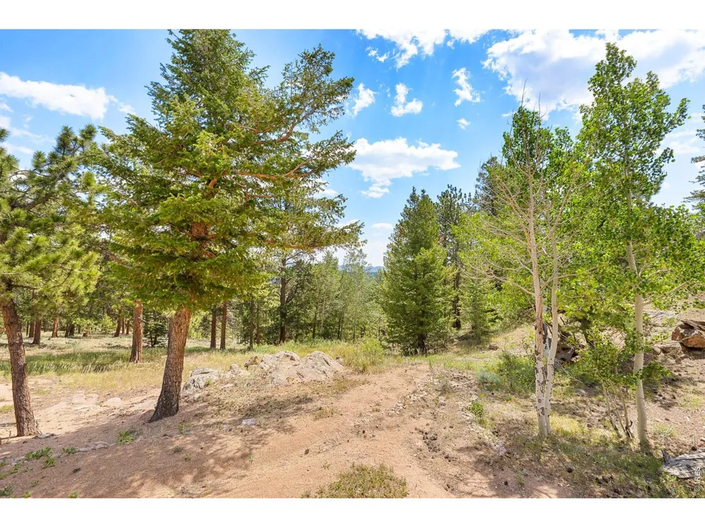 107 Miami Court Red Feather Lakes, CO 80545