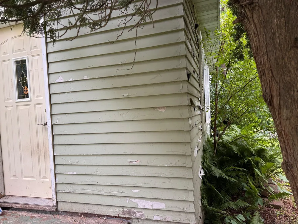 201 1st Street SE Pelican Rapids, MN 56572
