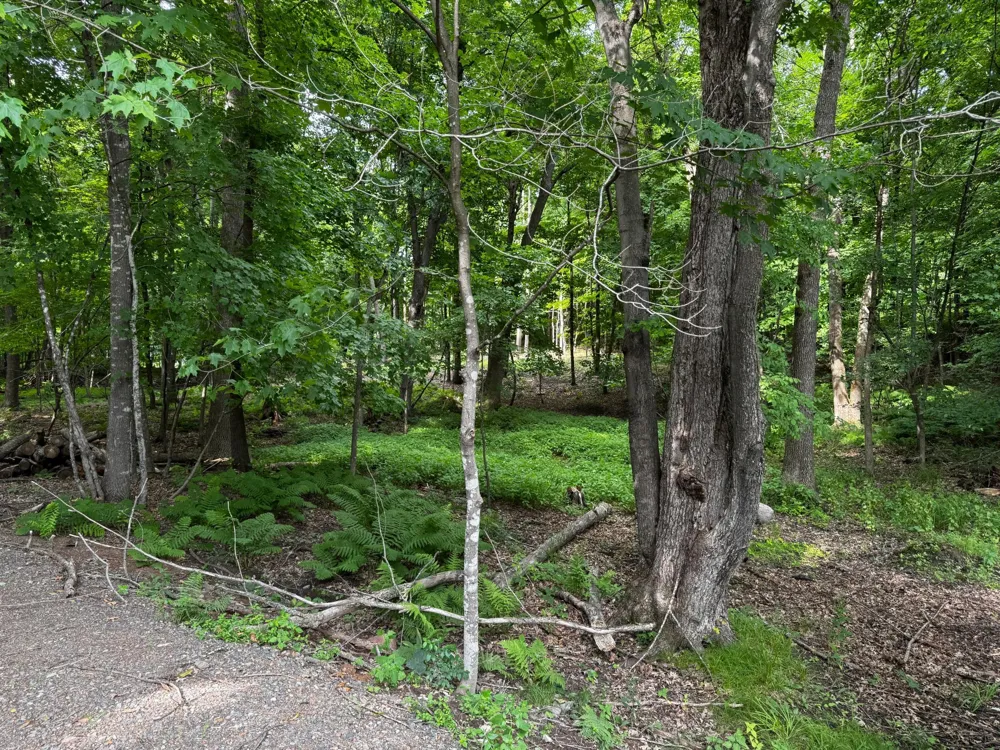 XXX County Road I Balsam Lake, WI 54810